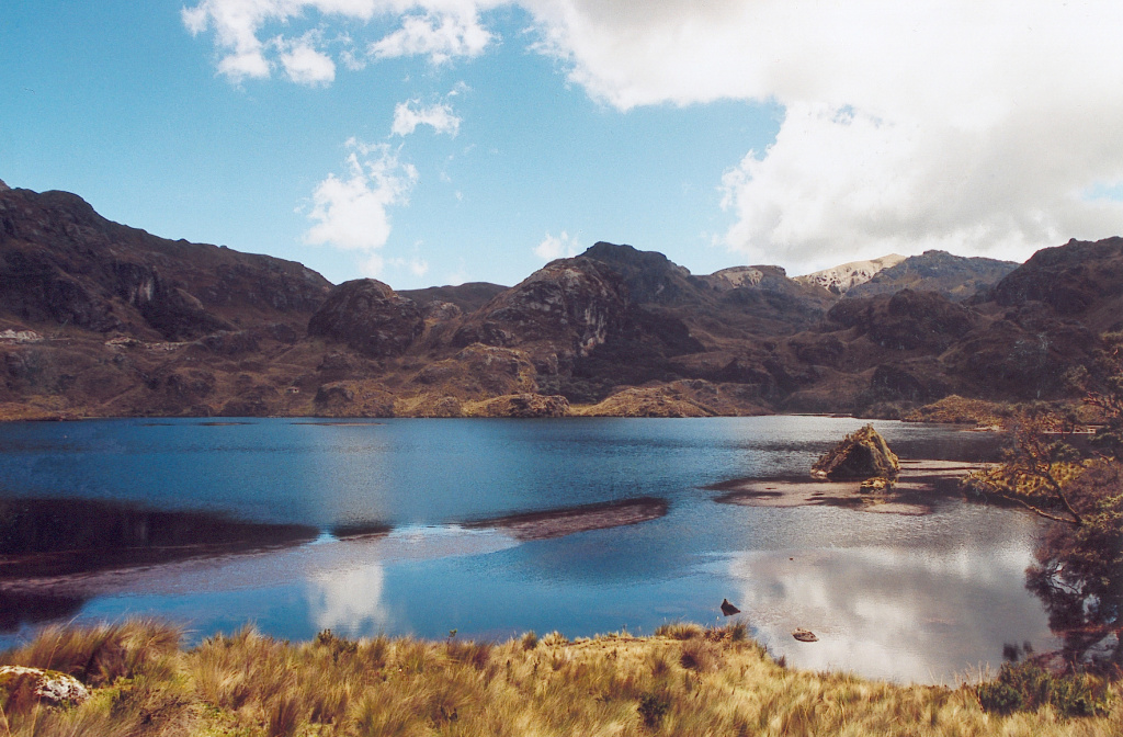 Ecuadorcajas.jpg
