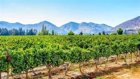 Image result for maipo valley